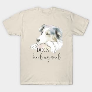 DOGS Heal my Soul - Border Collie T-Shirt